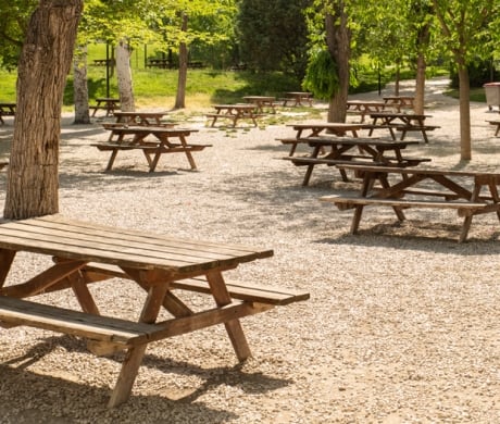 Numerous empty wooden picnic tables are arranged across a sunlit gravel area, shaded by many green trees in an outdoor park setting.