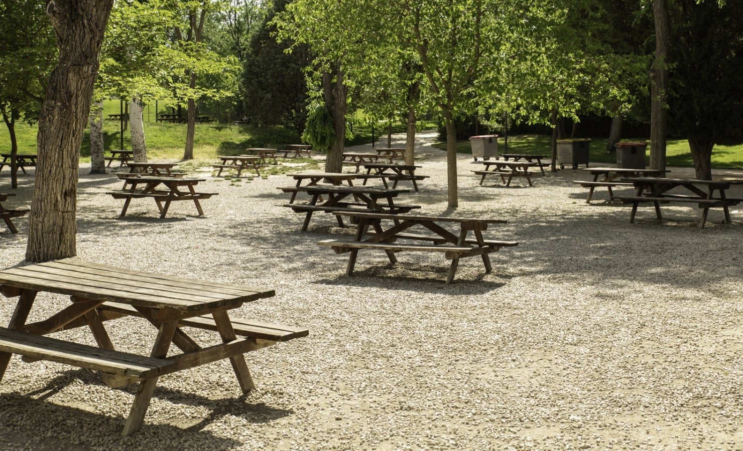 Numerous weathered wooden picnic tables are scattered across a sunlit gravel area, beneath lush green trees in a park.
